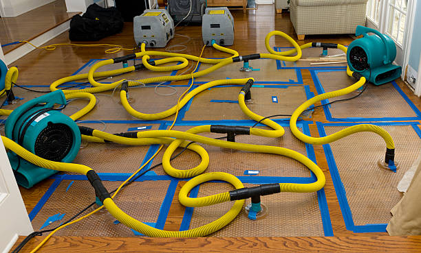 Professional Crawl Space Water Removal technician working in Dakota City, IA
